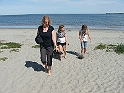 NFLD_drive_to_and-viking_settlement 999